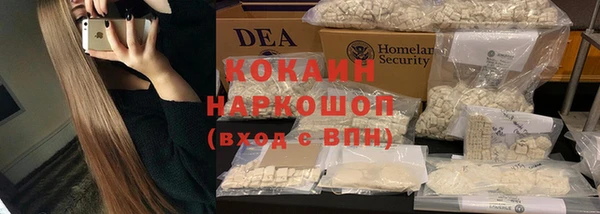 твердый Богородицк