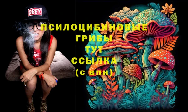 spice Беломорск