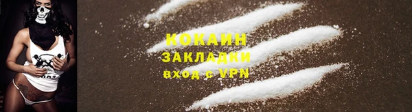 твердый Богородицк