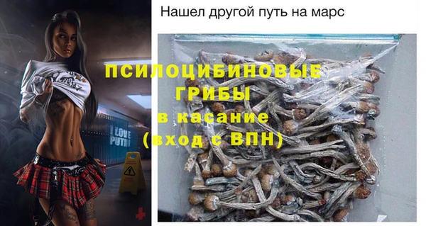 твердый Богородицк
