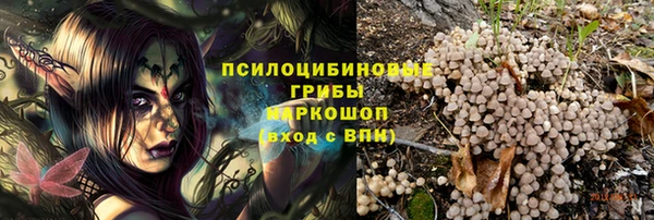 твердый Богородицк