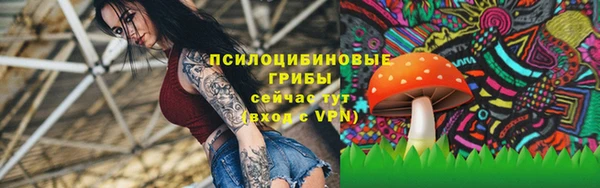 ALPHA-PVP Богданович