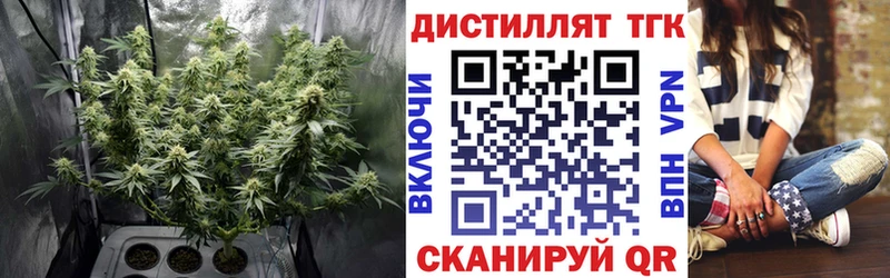ТГК вейп Волгореченск