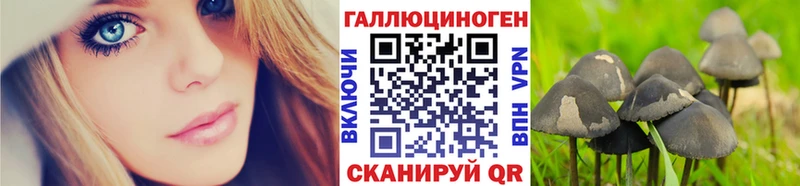 MEGA маркетплейс  Волгореченск  Псилоцибиновые грибы мухоморы 